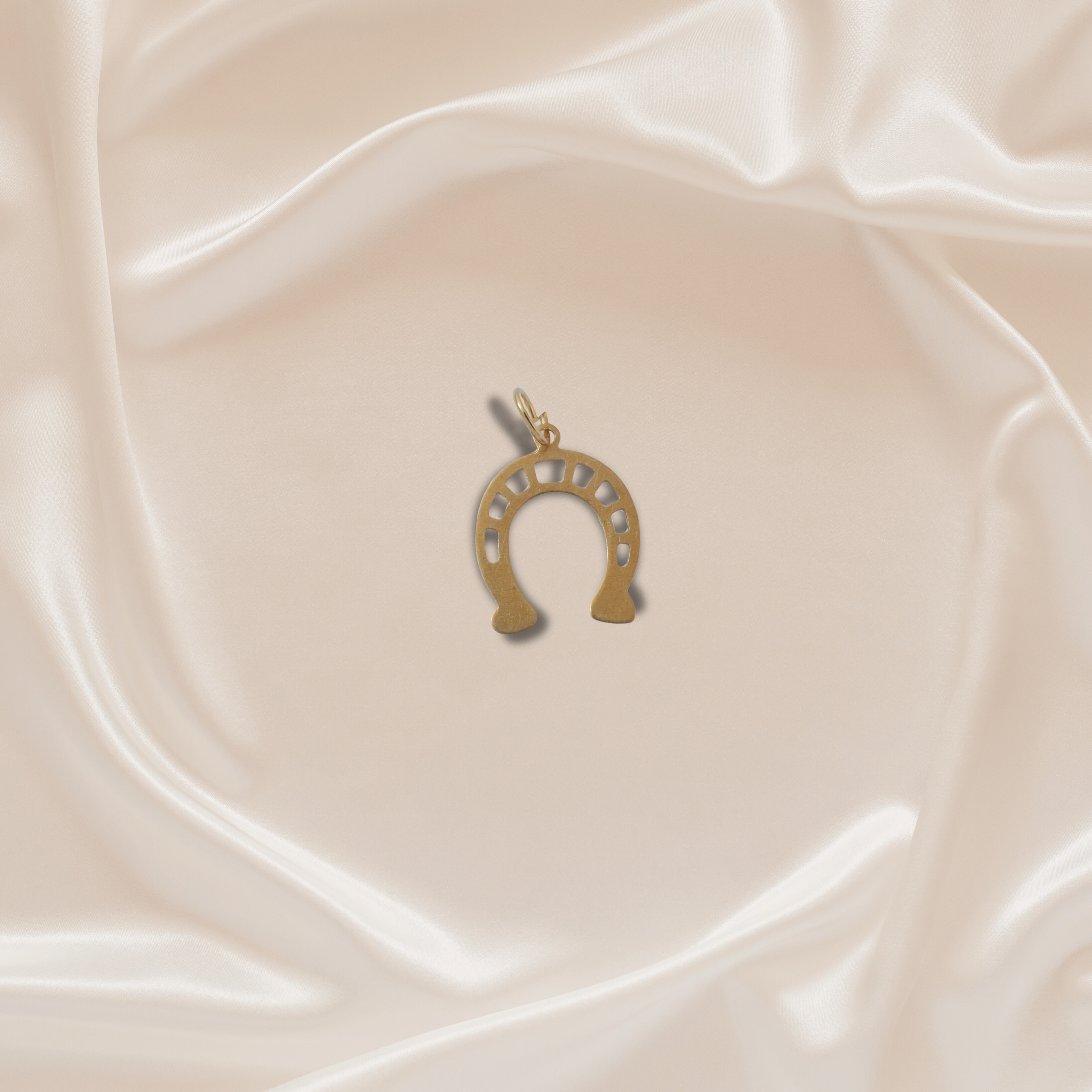 The Lucky Horseshoe Charm
