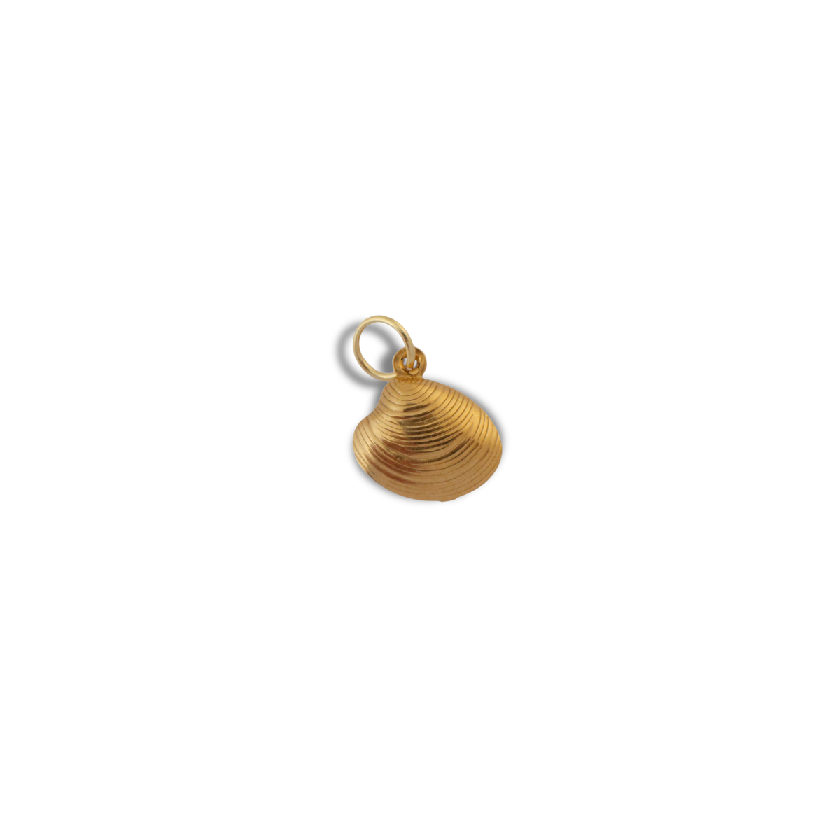 The Golden Shell Charm