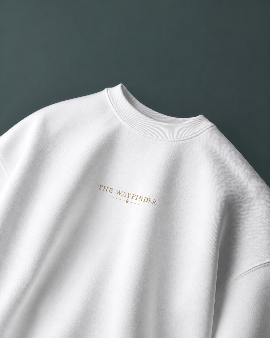 The Wayfinder Unisex Oversized Tee - front view