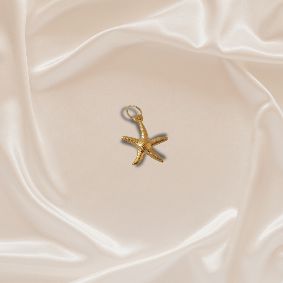 The Ocean Star Charm