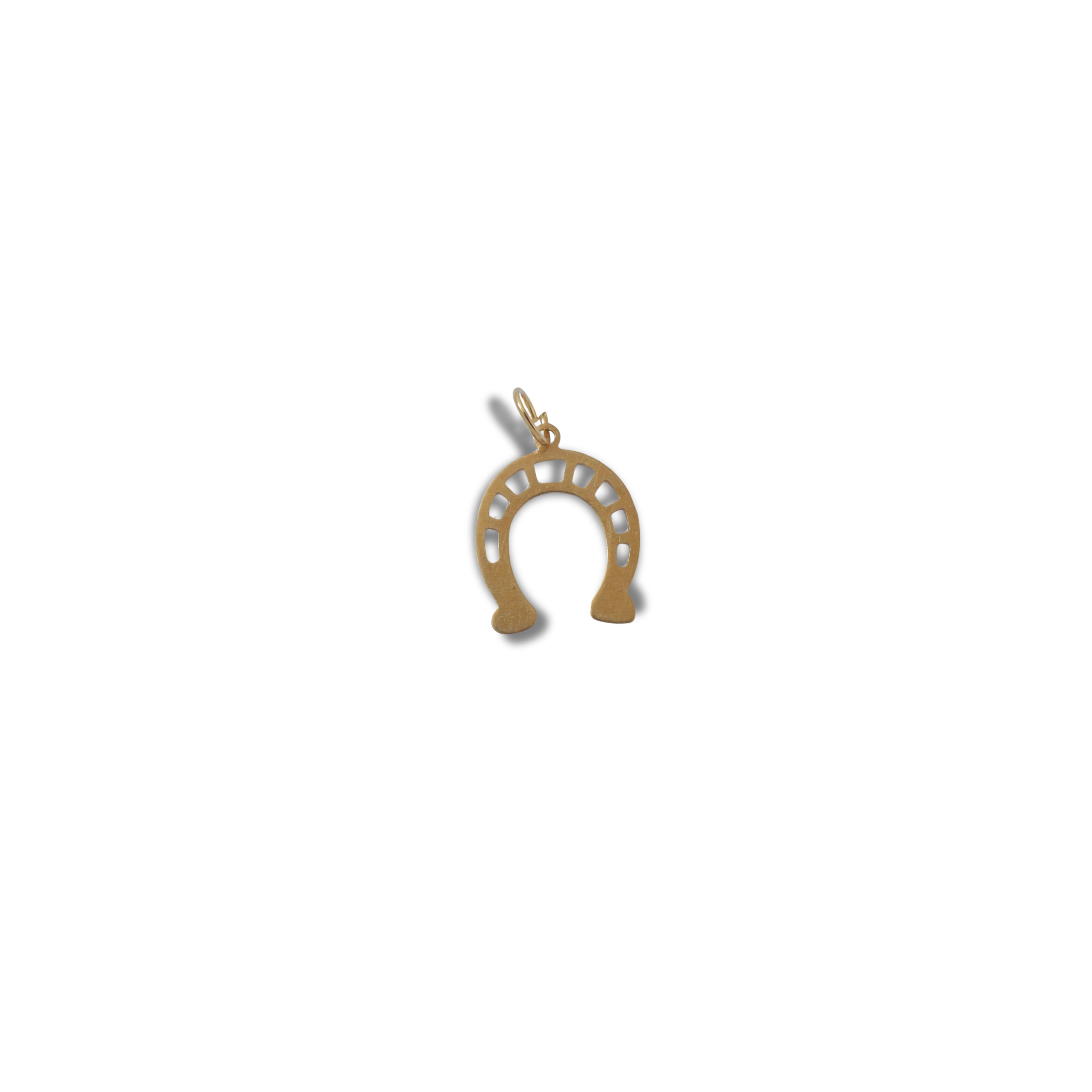 The Lucky Horseshoe Charm