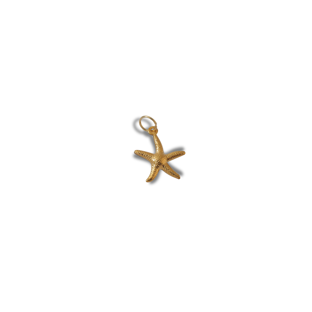 The Ocean Star Charm – photo 2