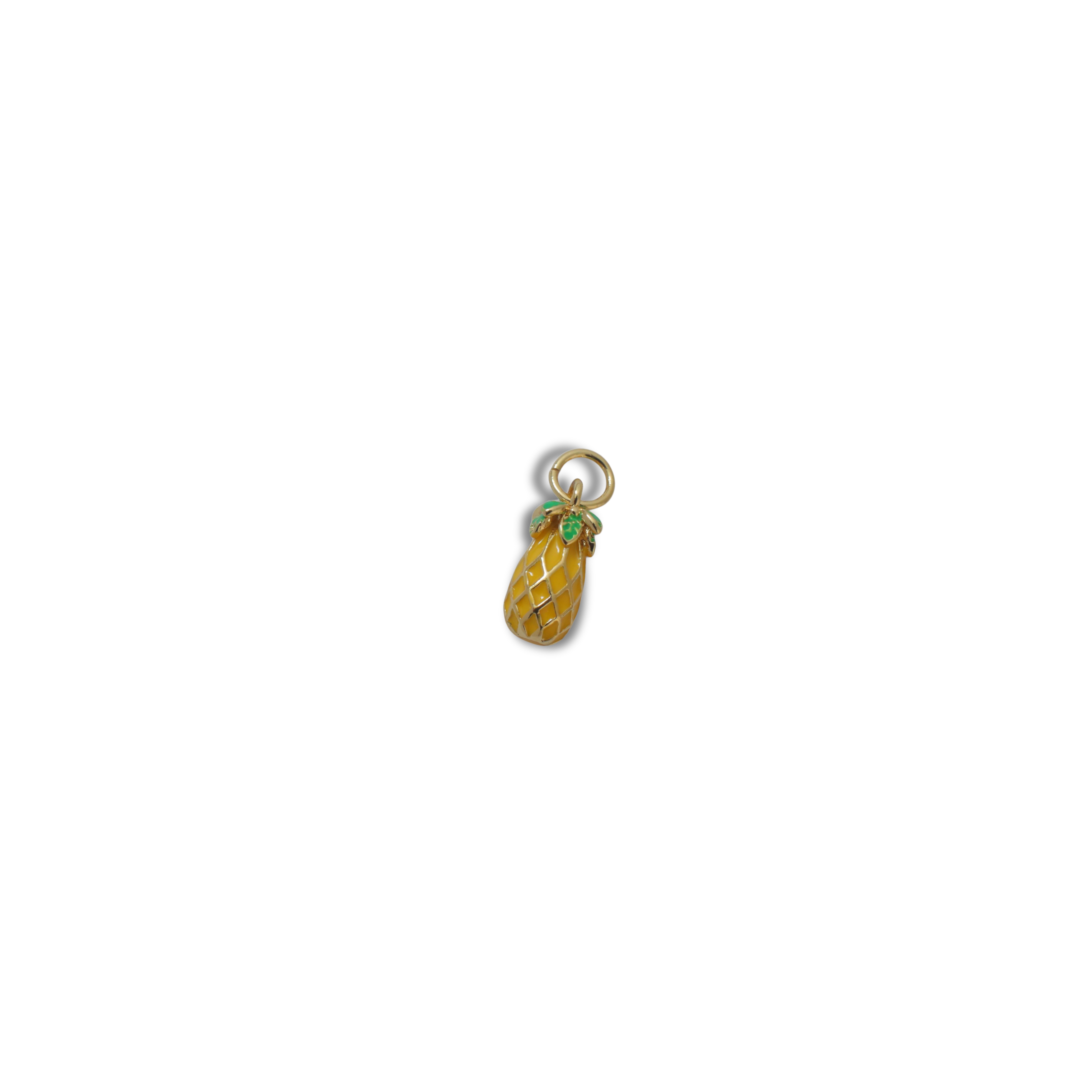 The Tropical Bliss Charm