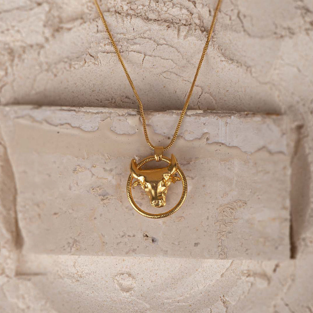 Bull in a Ring Pendant with Necklace – photo 1